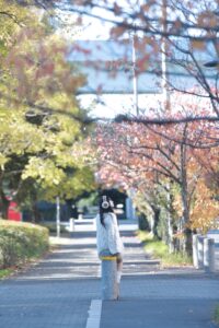 A91I0733